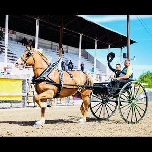 Meet your Posher, Ben